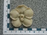 093-Orchidea-silikonove formy
